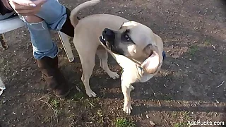 Only Asian Porn Videos 0